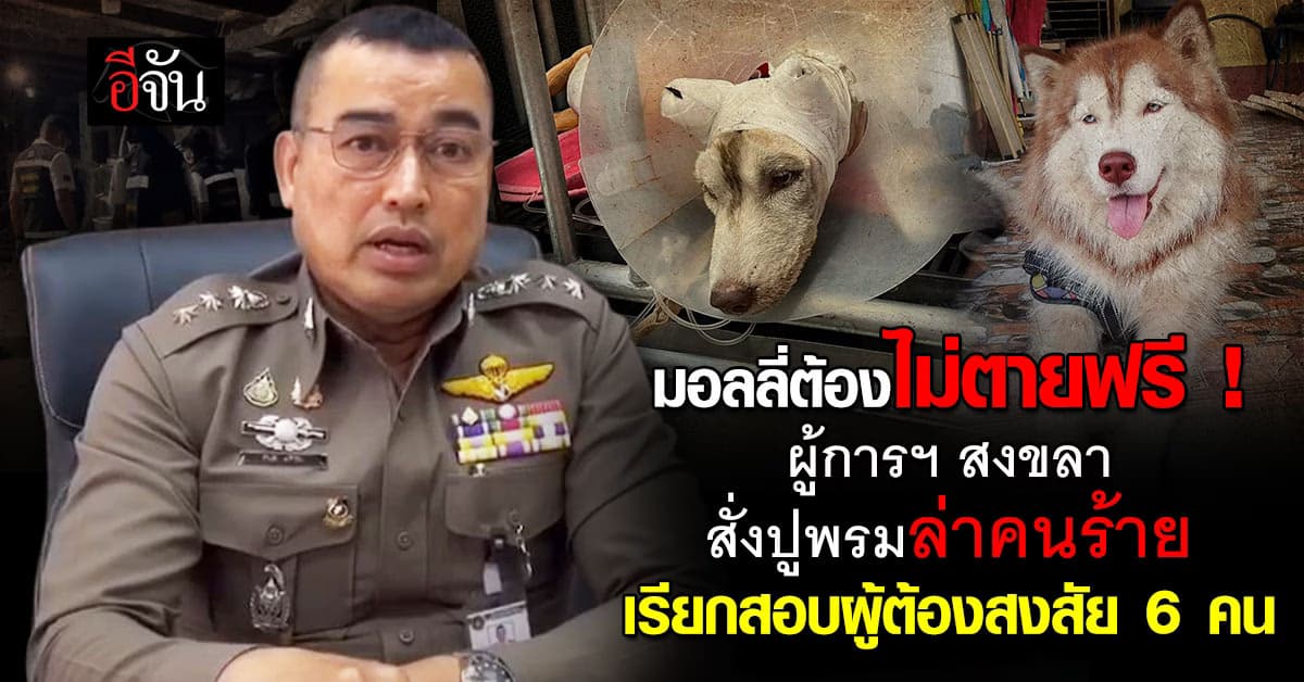 ผู้การฯสงขลา ปูพรมล่า กลุ่มคนราดน้ำมันจุดไฟเผา มอลลี่