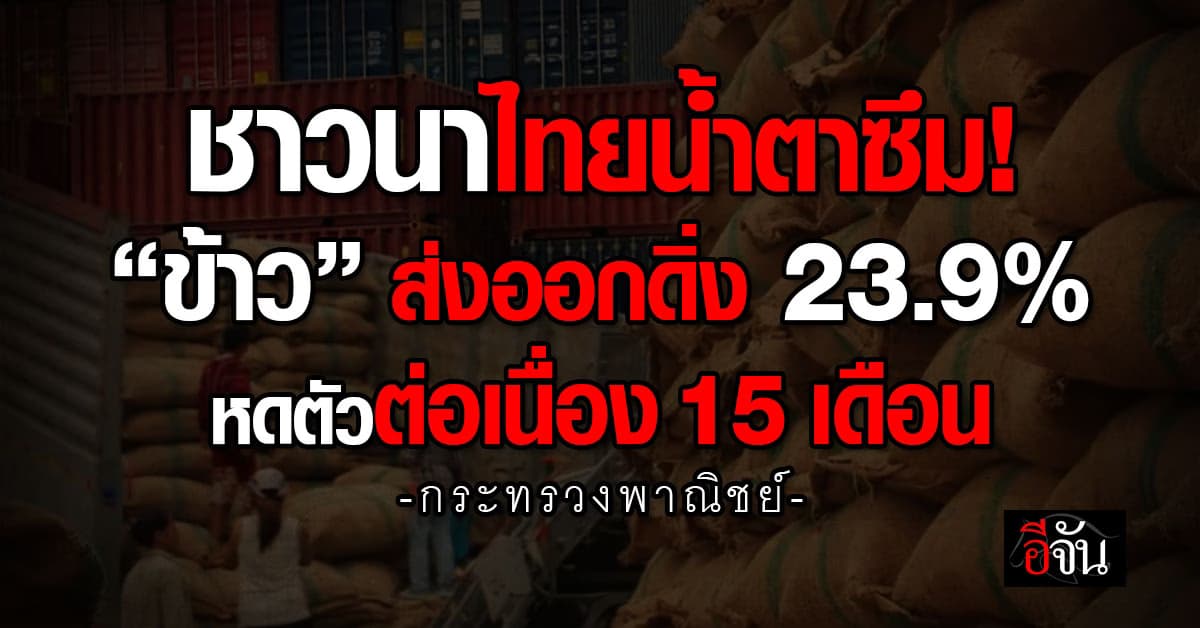 ชาวนาไทยซึม! พาณิชย์ฯ เผย “ข้าว” ส่งออกดิ่ง 23.9% หดตัวต่อเนื่อง 15 เดือน