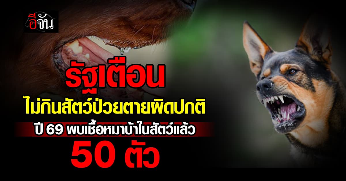 รัฐ เตือน ไม่กินสัตว์ป่วยตายผิดปกติ ปี’69 พบเชื้อพิษสุนัขบ้าในสัตว์แล้ว 50 ตัว