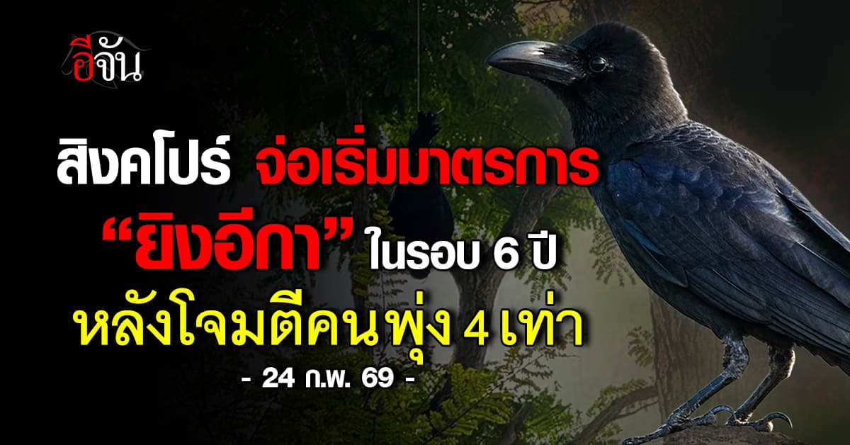 สิงคโปร์ จ่อเริ่มมาตรการ “ยิงอีกา” อีกครั้งในรอบ 6 ปี  