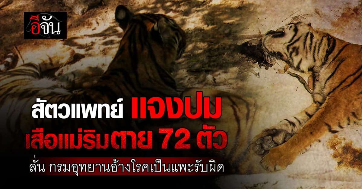 สัตวแพทย์ เเจงปมเสือเเม่ริมตาย 72 ตัว เป็นเพราะอะไรกันเเน่?  
