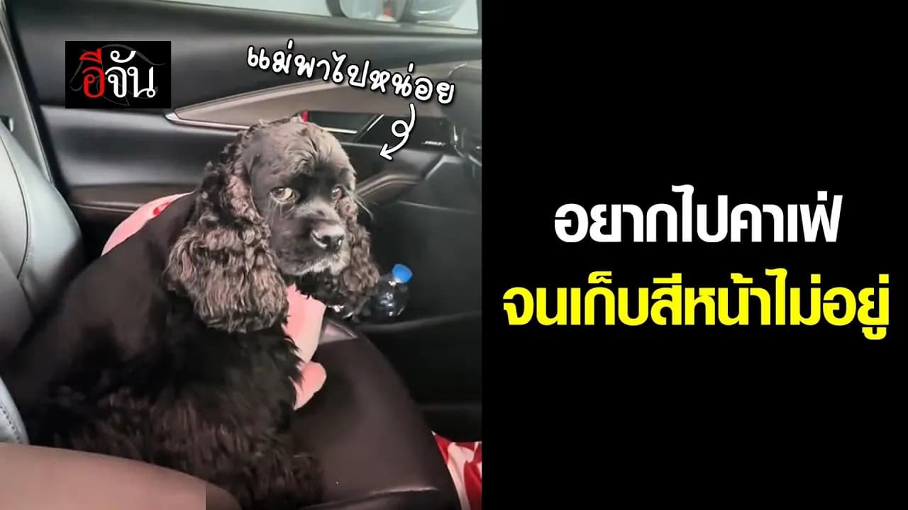 🎬 คุณแม่ซวยแล้ว ! เมื่อลูกสาวงอแงอยากไปคาเฟ่