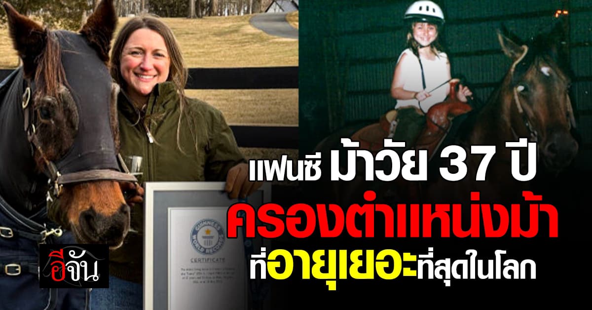 ทุบสถิติ! ‘แฟนซี’ ม้าวัย 37 ปี จากสหรัฐฯ ขึ้นแท่นอายุมากที่สุดในโลก  