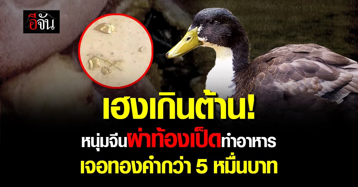เฮงเกินต้าน! หนุ่มจีนผ่าท้องเป็ดทำอาหาร เจอทองคำกว่า 5 หมื่นบาท