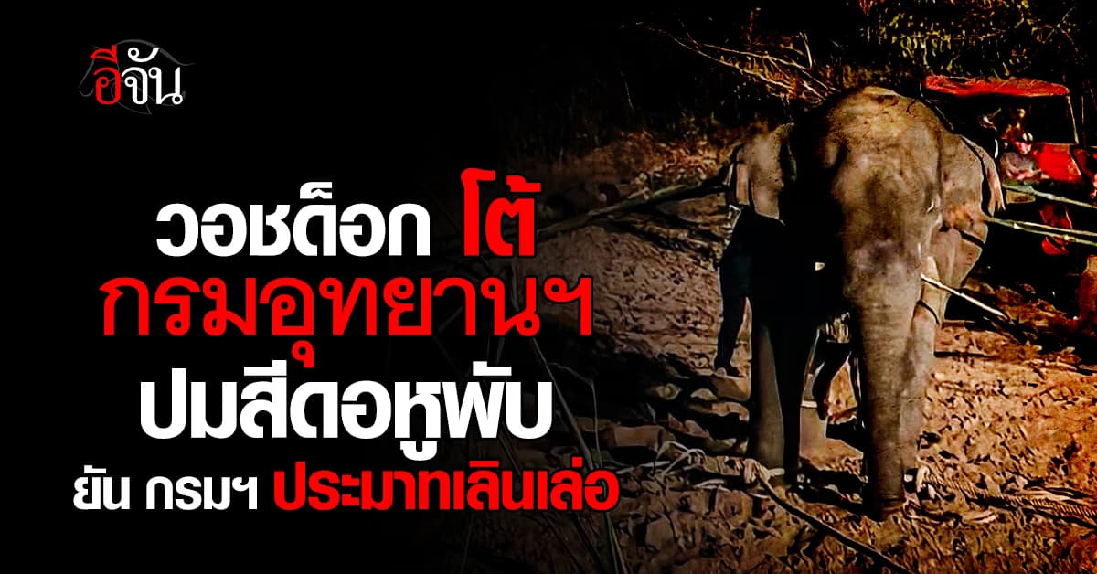 “วอชด็อก” โต้กรมอุทยานฯ ปมยิงยาซึมสีดอหูพับ เผย กรมฯ ประมาทเลินเล่อ