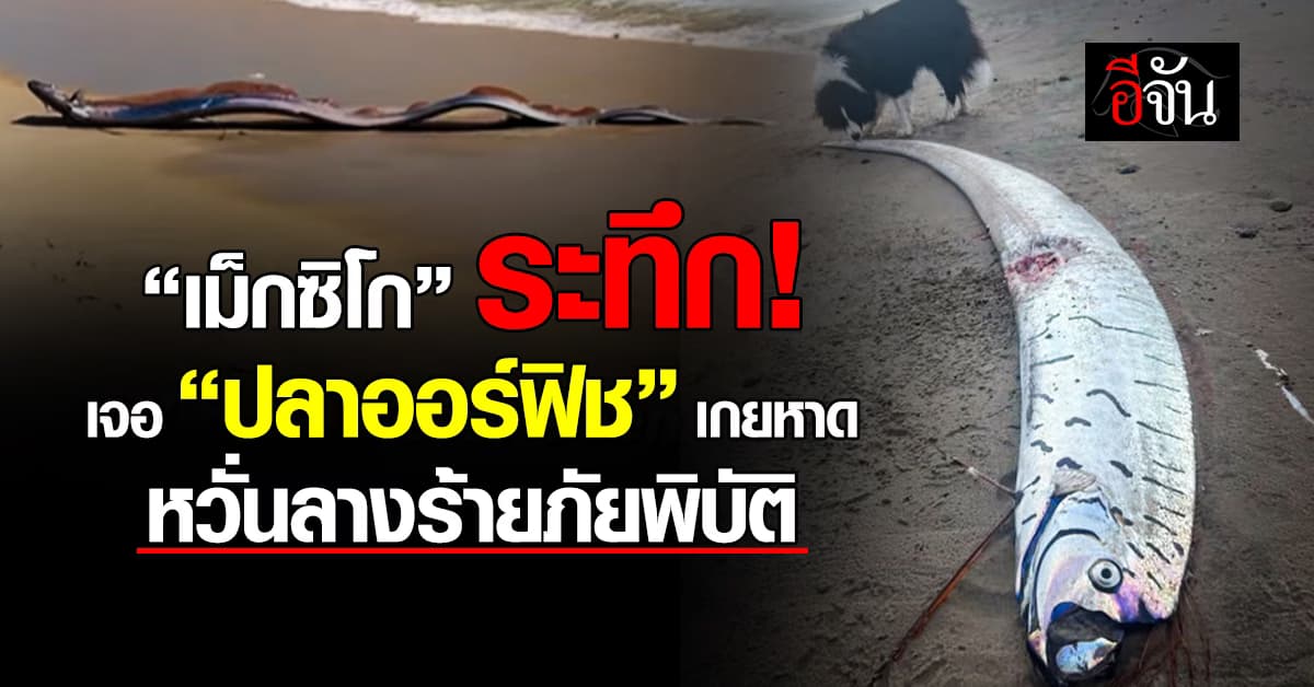 พี่น้องเม็กซิโกเจอ “ปลาออร์ฟิช” เกยหาด หวั่นลางร้ายภัยพิบัติ