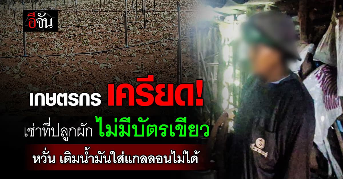 เกษตรกร เครียด! เช่าที่ปลูกผัก ไม่มีบัตรเขียว หวั่น เติมน้ำมันใส่แกลลอนไม่ได้ 