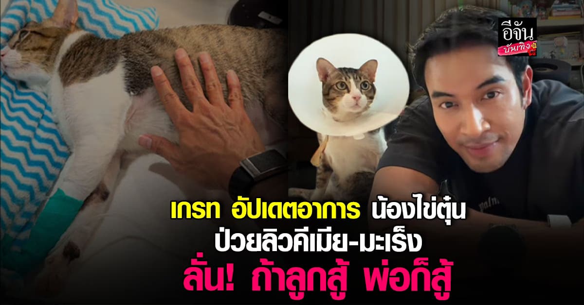 หัวใจพ่อแมว เกรท วรินทร อัปเดตอาการ น้องไข่ตุ๋น ลั่น ถ้าลูกสู้ พ่อก็สู้