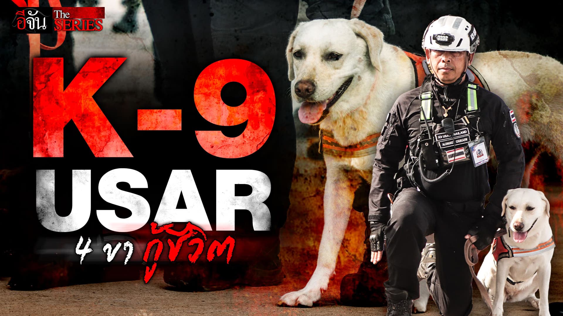🎬 สุนัข K9 USAR ฮีโร่ 4 ขา กับภารกิจช่วยชีวิตคน | อีจัน THE SERIES