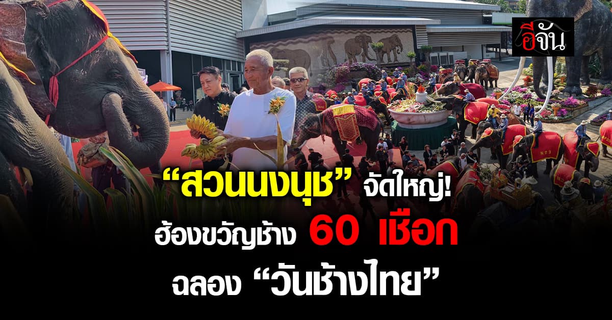 “สวนนงนุชพัทยา” ฉลองวันช้างไทย จัดพิธีฮ้องขวัญช้าง 60 เชือก สานวัฒนธรรมสัตว์มงคลชาติไทย