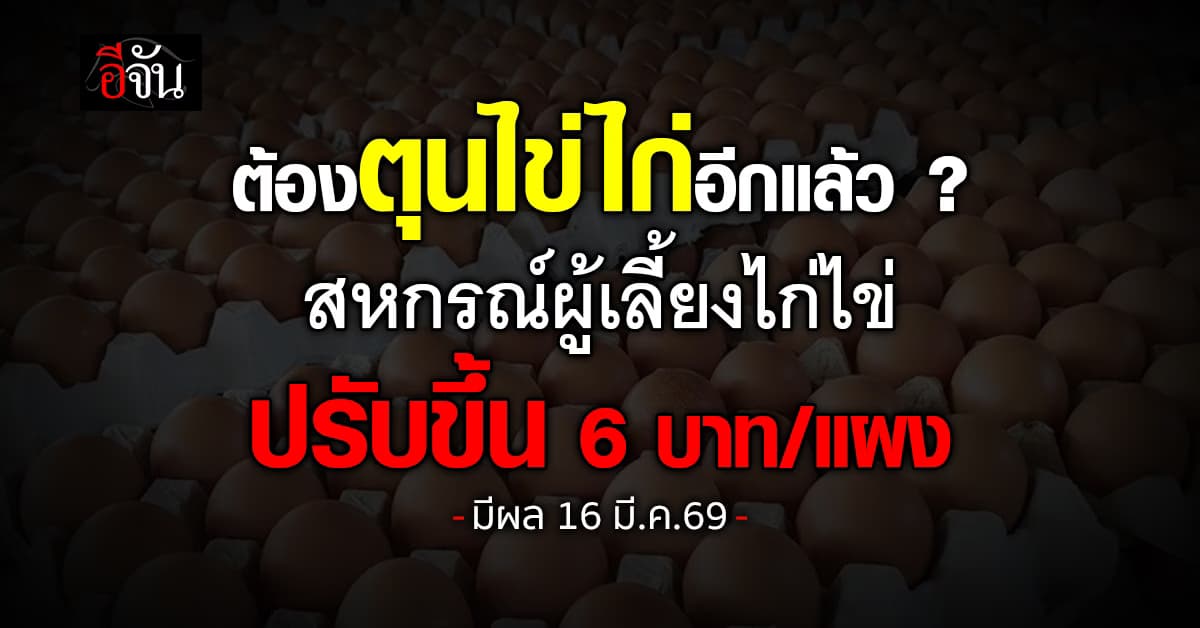 สหกรณ์ผู้เลี้ยงไก่ไข่ ปรับขึ้น 6 บาท/แผง มีผล 16 มี.ค.69