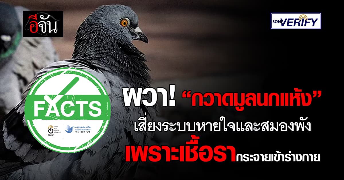 ภัยร้ายที่ไม่รู้ตัว! “กวาดมูลนกแห้ง” ทำผวา เพราะสปอร์เชื้อรากระจายเข้าร่างกาย 
