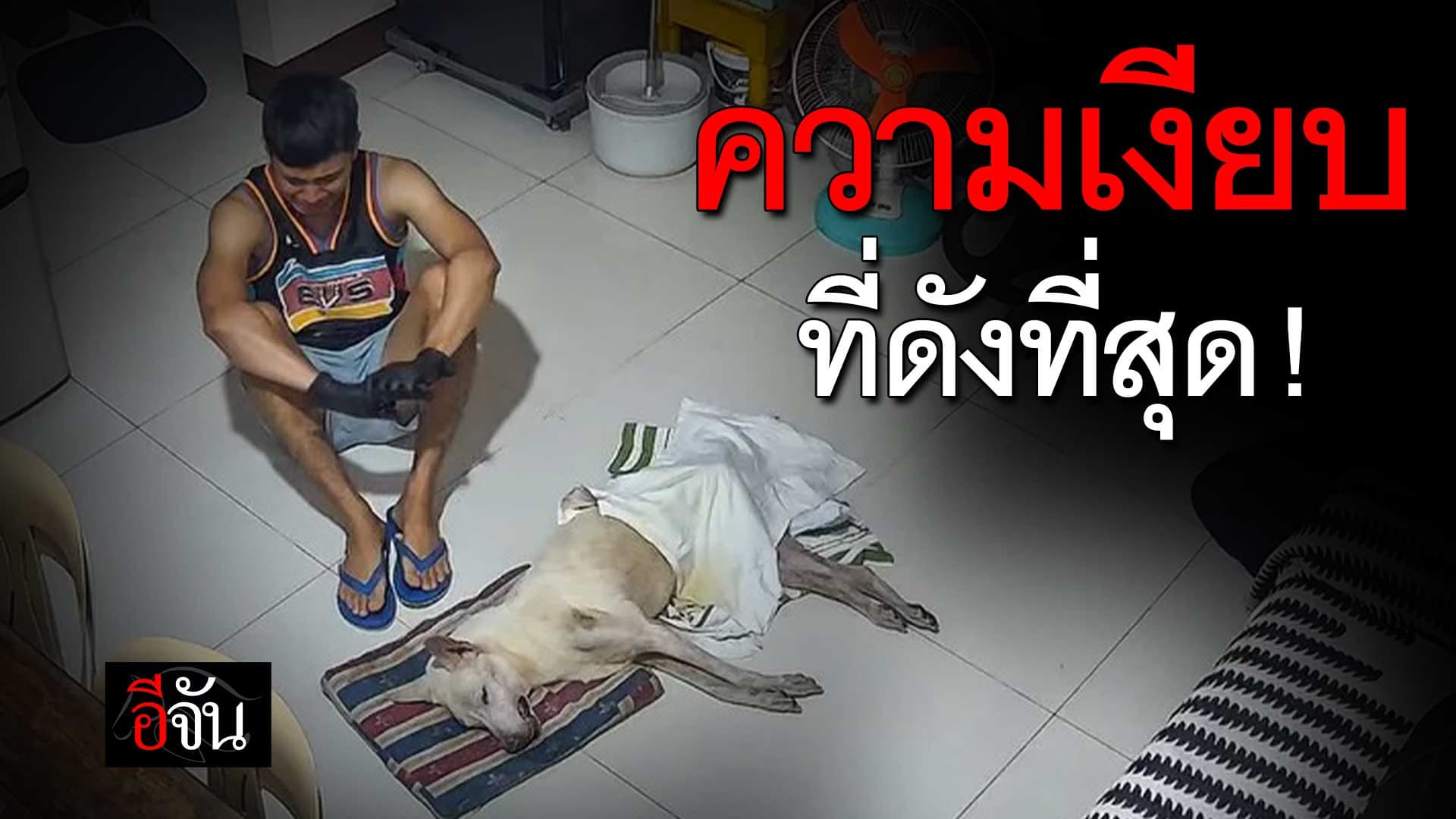 🎬 ความเงียบนี้ บีบหัวใจมาก …
