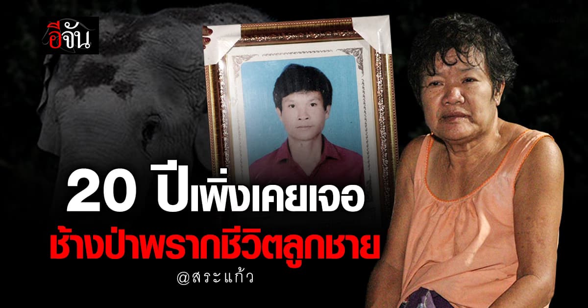ผวาทั้งตำบล! ช้างป่าฆ่าคนตาย แม่โอดอยู่มา 20 ปี ไม่เคยเจอ