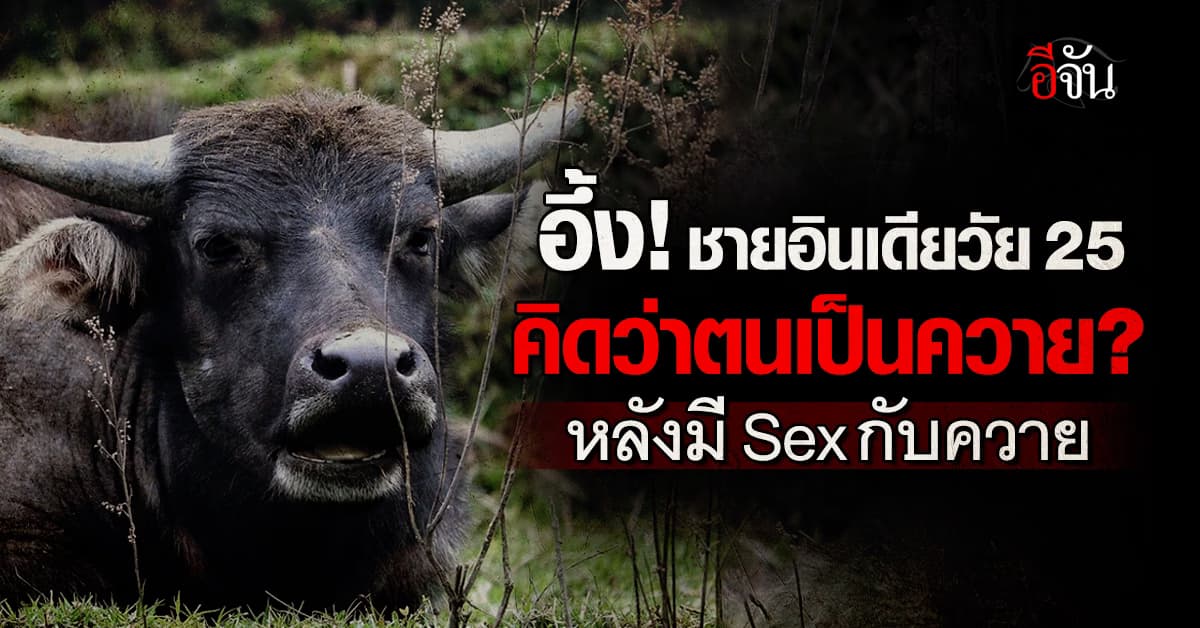 อึ้ง! ชายอินเดีย คิดว่าตัวเองคือควายหลังมี Sex กับควายสุดท้ายป่วย 