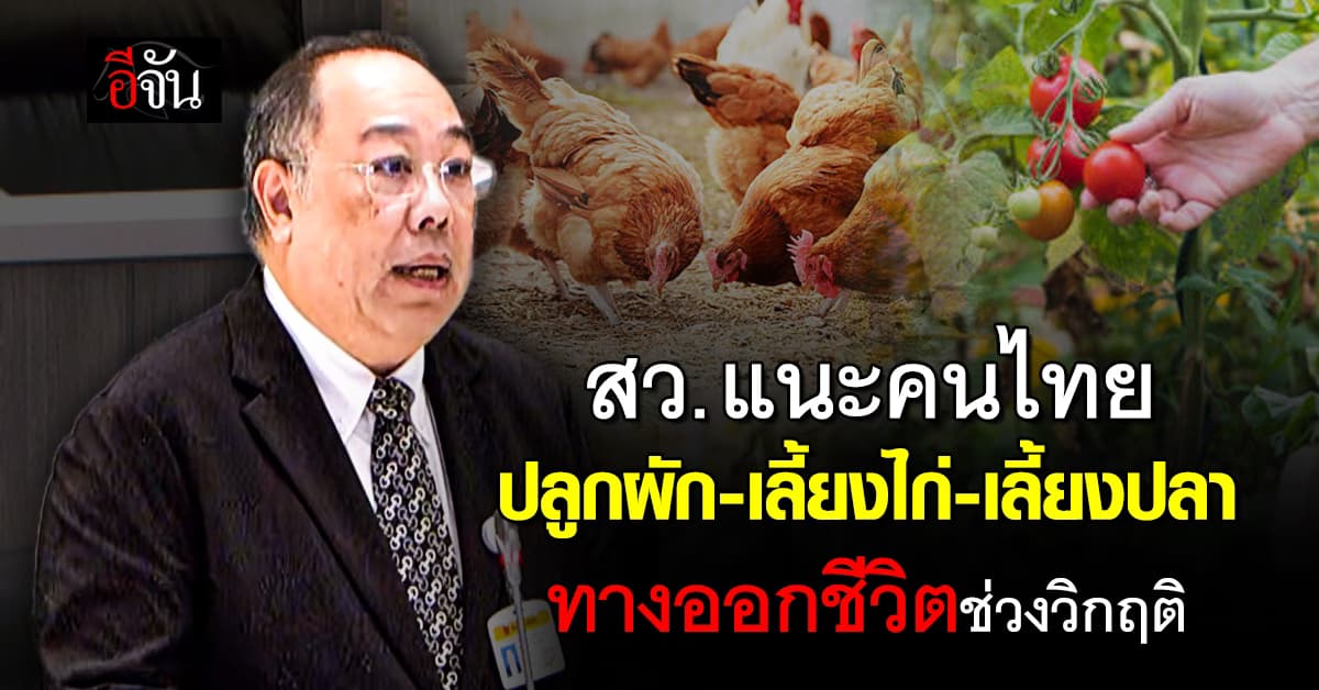 สว.ปฏิมา เสนอ ปชช. “ปลูกผัก-เลี้ยงไก่” ทางออกใช้ชีวิตช่วงวิกฤติ