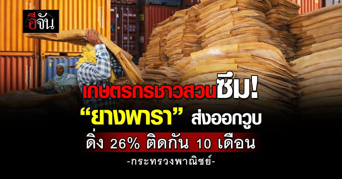 พาณิชย์ฯ เผยยางพาราส่งออกดิ่ง 26% ติดกัน 10 เดือน