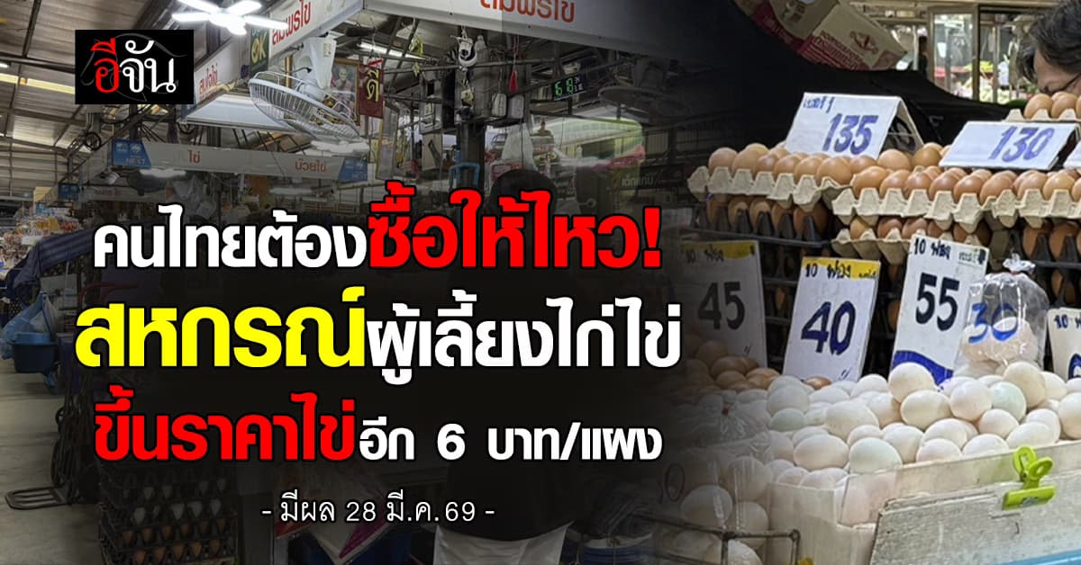 สหกรณ์ผู้เลี้ยงไก่ไข่ฯ ขึ้นราคาไข่อีก 6 บาท/แผง มีผล 28 มี.ค.69