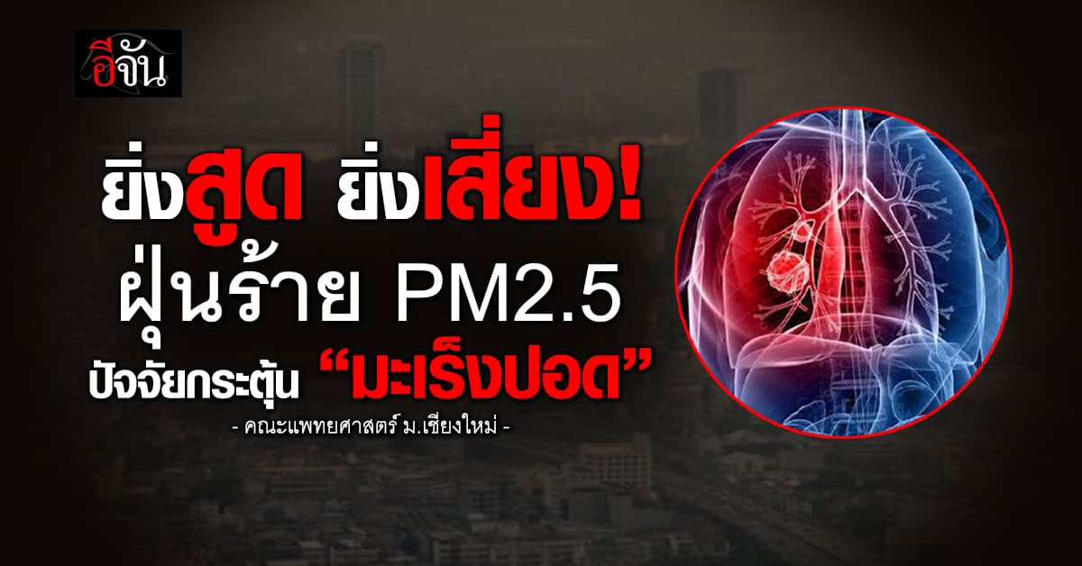 แพทย์ ม.เชียงใหม่ เคลียร์ ฝุ่น PM2.5 ปัจจัยกระตุ้น “มะเร็งปอด” พร้อมแนะวิธีดูแลตัวเอง