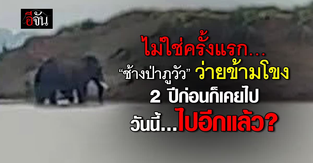 ไม่ใช่ครั้งแรก! ย้อนรอย “ช้างภูวัว” เคยว่ายข้ามโขงปริศนา วันนี้เกิดซ้ำอีก