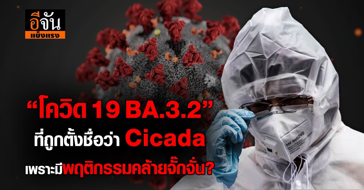 “โควิด 19” (BA.3.2) ที่ถูกตั้งชื่อว่า Cicada เพราะมีพฤติกรรมคล้ายจั๊กจั่น? 