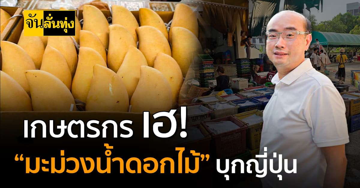 ไทยบุกญี่ปุ่น! อ.ต.ก. ส่งมะม่วง 20 ตัน สู่ตลาดโลก
