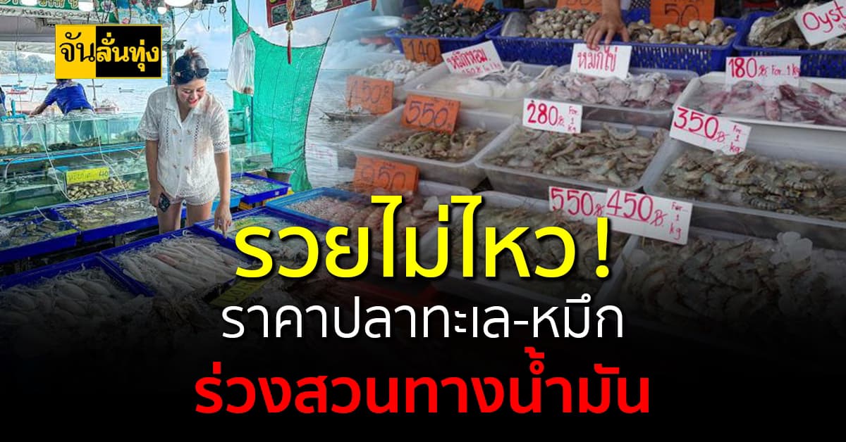 รวยไม่ไหว !ราคาปลาทะเล-หมึก ร่วงสวนทางน้ำมัน