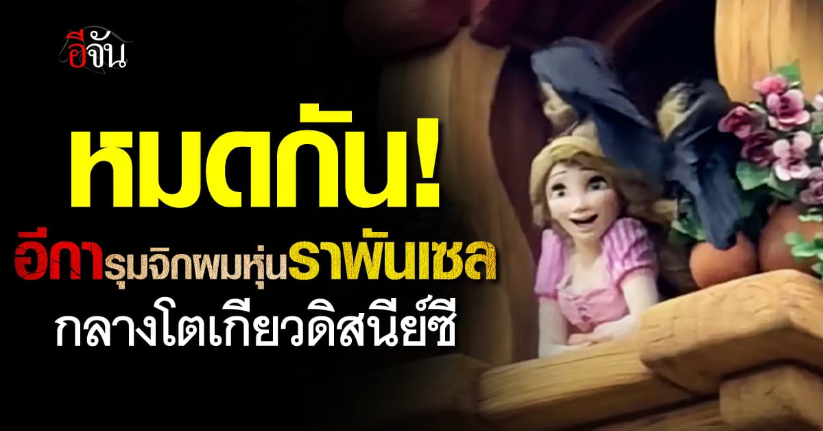 ระทึก! อีการุมจิกผมหุ่นราพันเซลกลางโตเกียวดิสนีย์ซี คาดนำไปใช้ทำรัง  