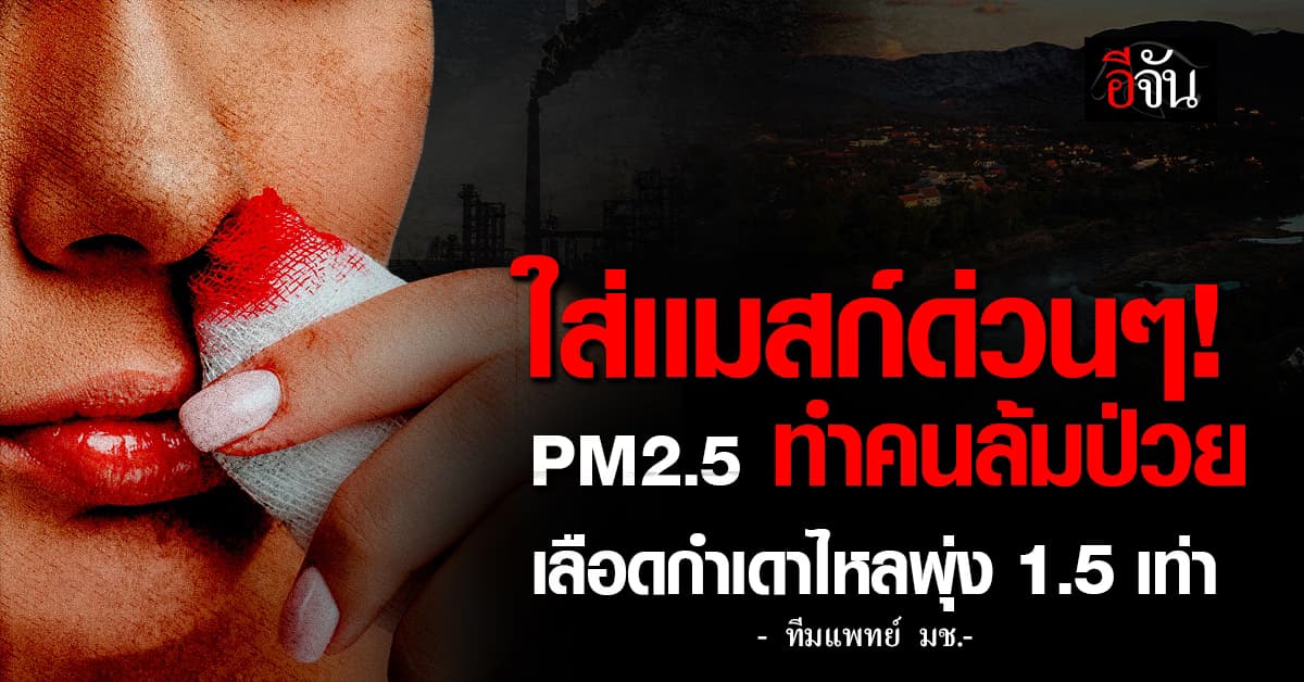ใส่เเมสก์ด่วนๆ! PM2.5 ทำคนเลือดกำเดาไหลพุ่ง 1.5 เท่า 
