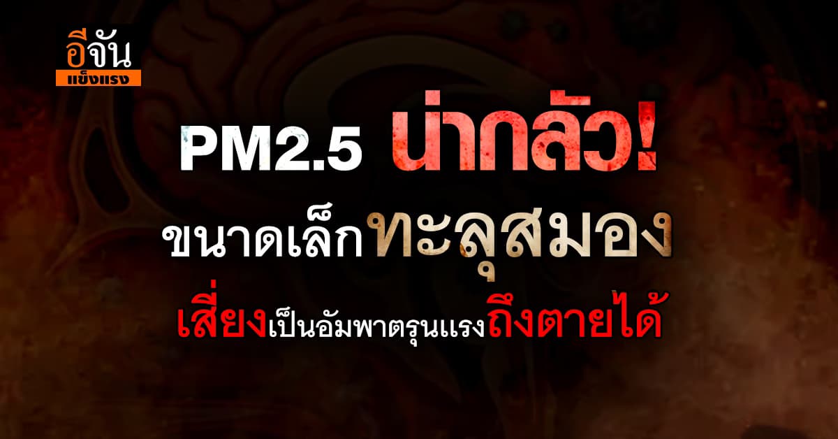 อันตรายเกิน! PM2.5 ฝุ่นจิ๋วที่ทะลุถึงสมอง เพิ่มเสี่ยงอัมพาตพุ่ง