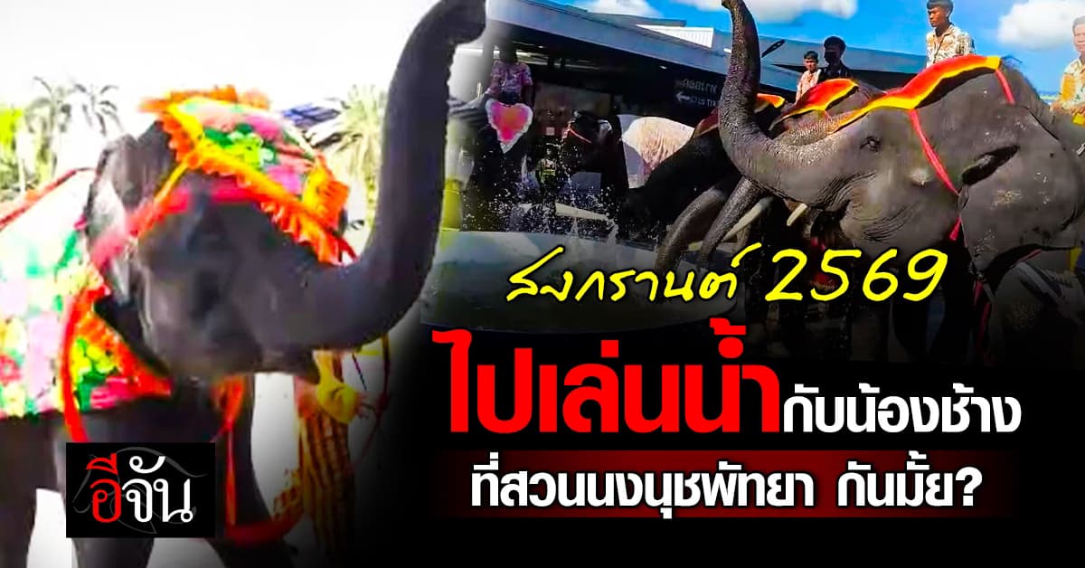 สงกรานต์ 2569 ไปเล่นน้ำกับน้องช้าง ที่ สวนนงนุชพัทยา กันมั้ย? 