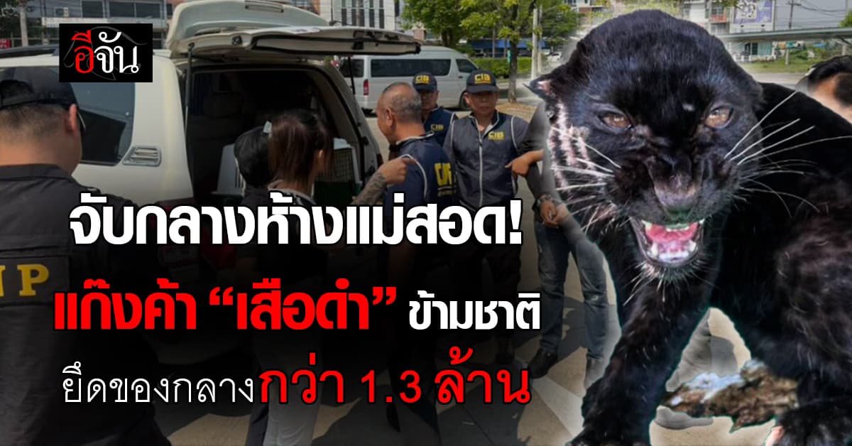 จับกลางห้างแม่สอด! แก๊งค้า “เสือดำ” ข้ามชาติ ยึดของกลางกว่า 1.3 ล้านบาท