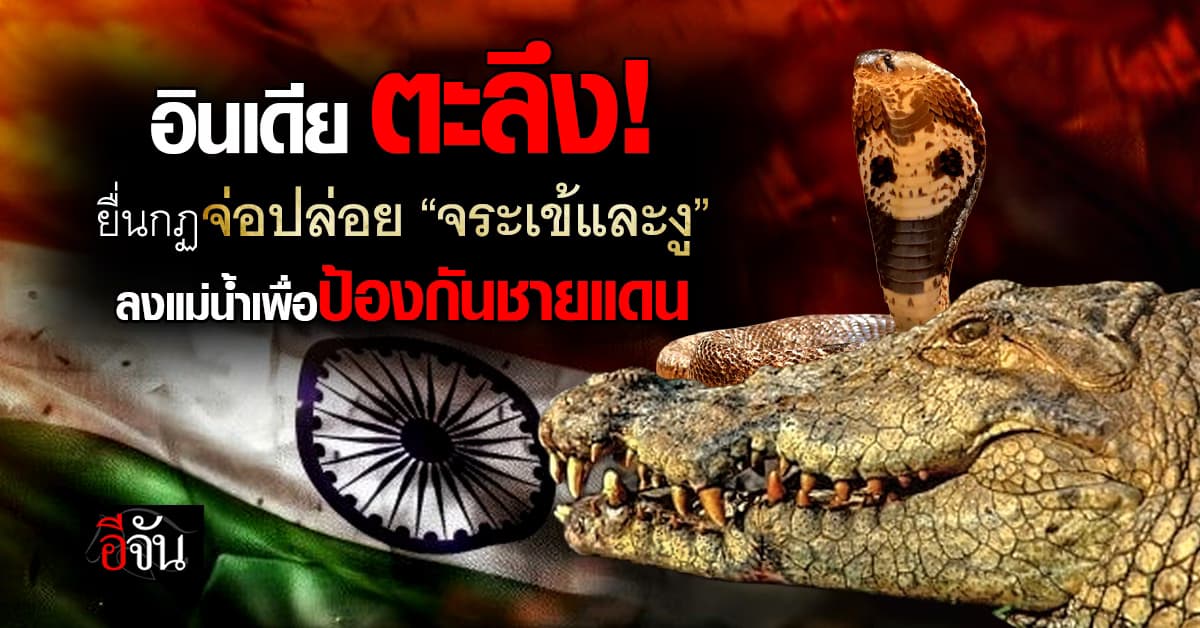 อินเดีย จ่อปล่อย “จระเข้และงู” ลงแม่น้ำเพื่อป้องกันชายแดน? 