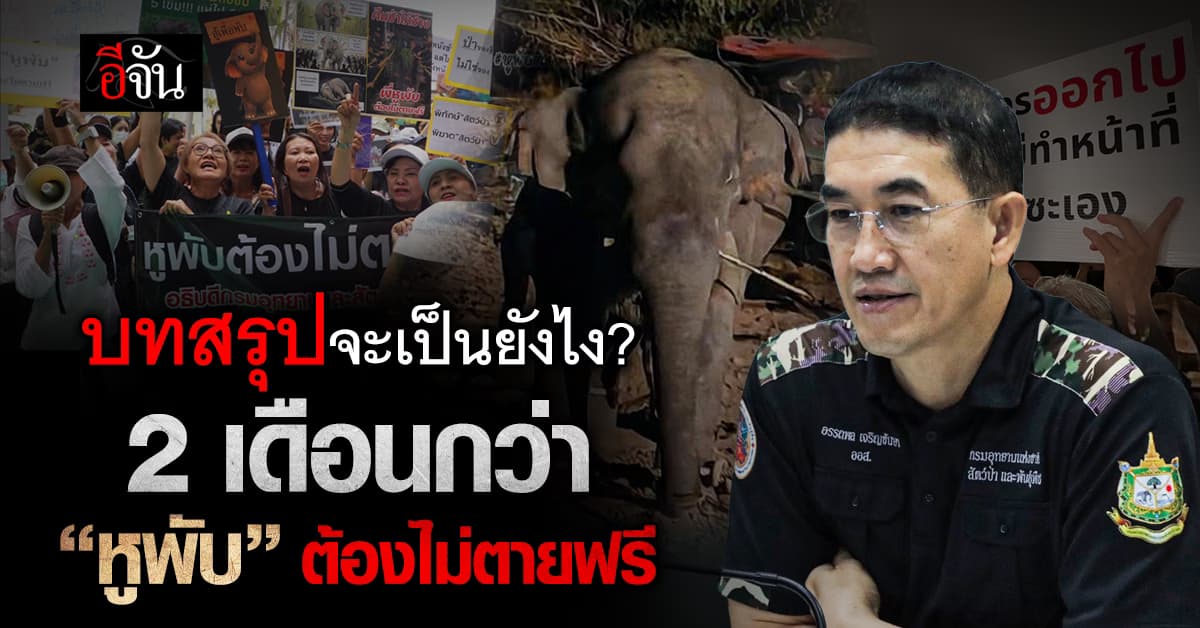 เจอกันซะที อธิบดีกับกลุ่มคนรักช้าง หลังหูพับจากไป กว่า 2 เดือน