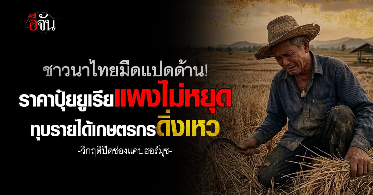 วิกฤติปิดช่องแคบฮอร์มุซ ราคาปุ๋ยยูเรียแพงไม่หยุด ทุบรายได้เกษตรกรดิ่งเหว