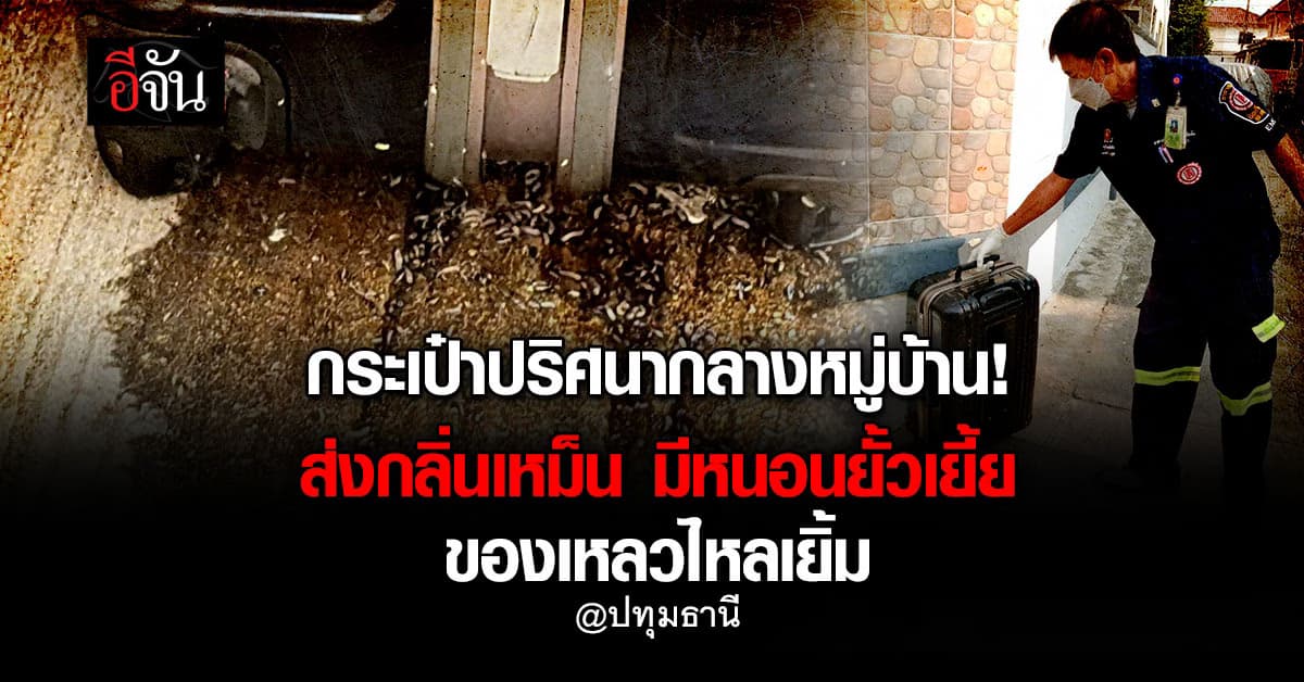 กระเป๋าปริศนากลางหมู่บ้าน! ส่งกลิ่นเหม็น มีหนอนยั้วเยี้ย เปิดออกมาถึงกับผงะ!