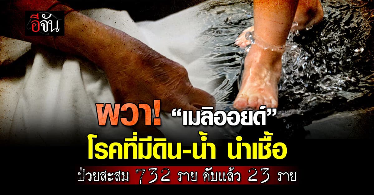 ระวัง! “โรคเมลิออยด์โดสิส”พบป่วยสะสมเเละตายพุ่ง
