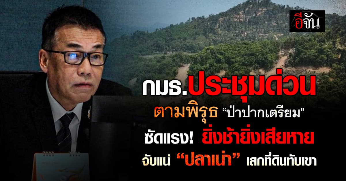 กมธ. ประชุมด่วน ตามเรื่อง “ป่าปากเตรียม” มีกรมป่าไม้ , พยัคฆ์ไพร , ชัยวัฒน์ ร่วมให้ข้อมูล