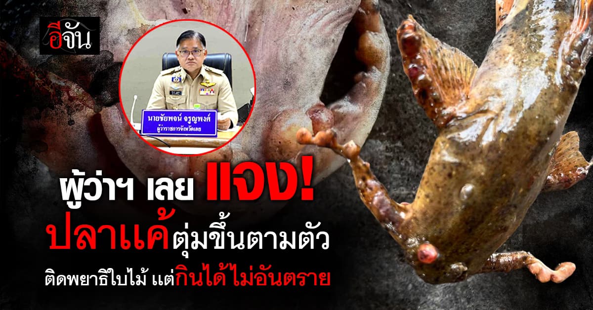 กรณี ปลาเเค้ที่อยู่เเม่น้ำโขง ตุ่มขึ้นตามตัว สรุปติดพยาธิใบไม้