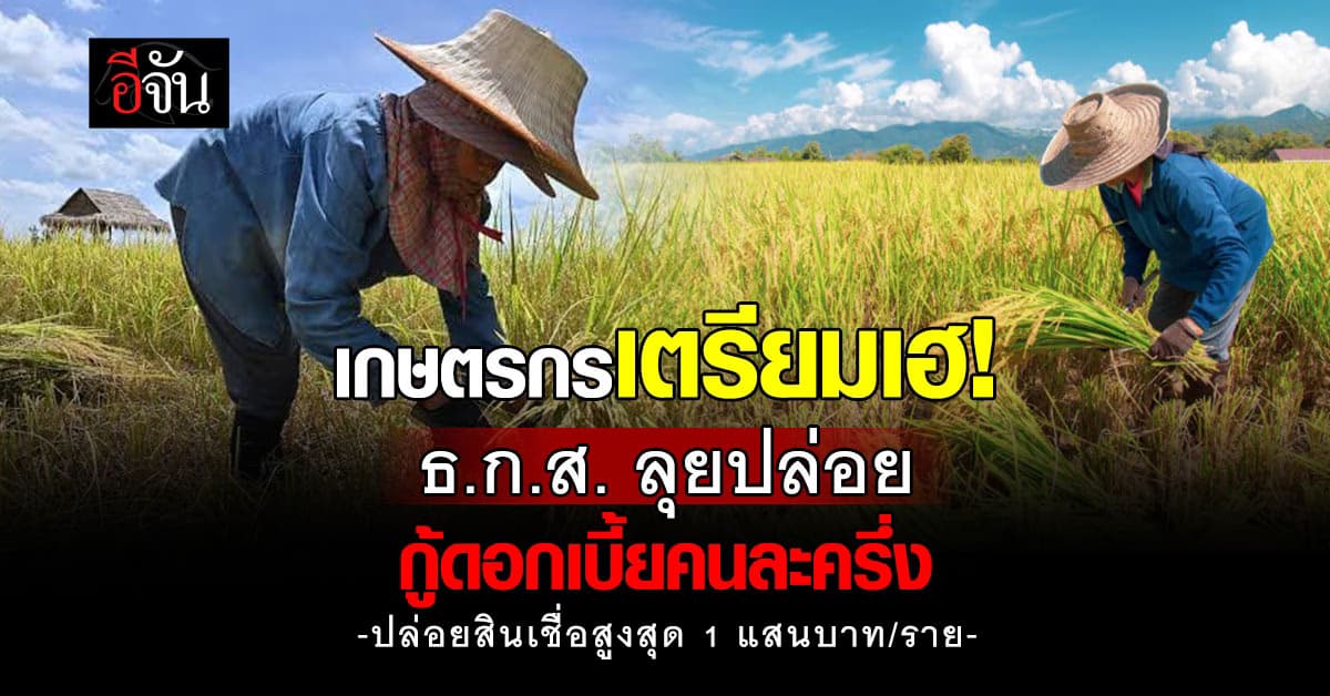  เกษตรกรเตรียมเฮ! ธ.ก.ส. ลุยปล่อยสินเชื่อดอกเบี้ยคนละครึ่ง วงเงินสูงสุด 1 แสนบาท/ราย