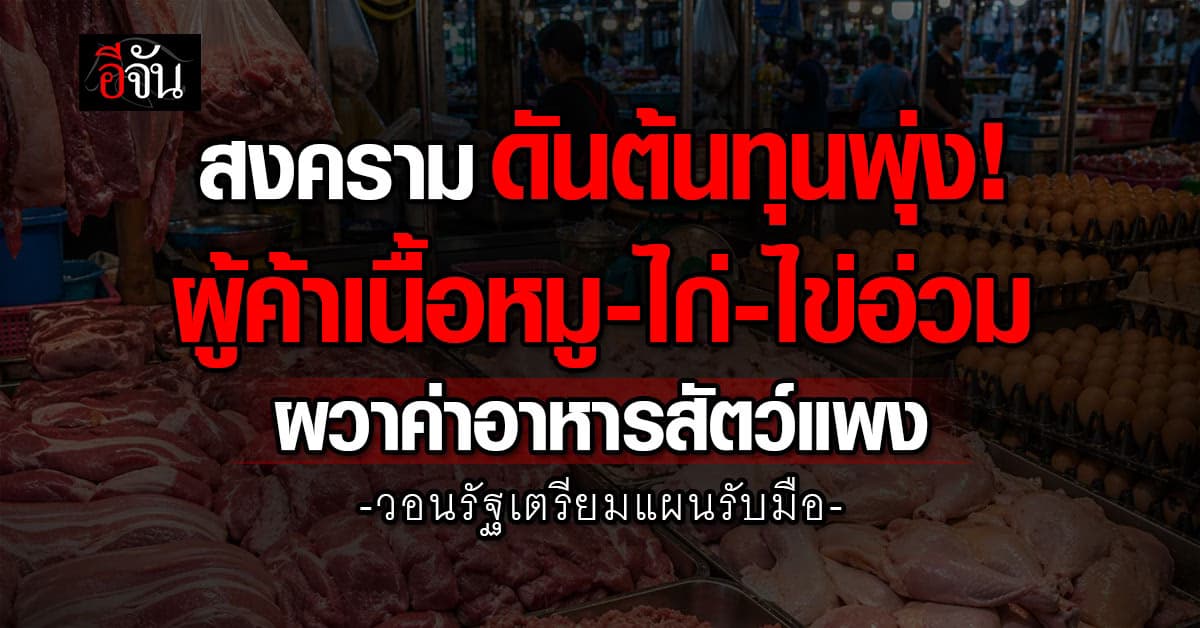 ผู้ค้าเนื้อหมู-ไก่-ไข่อ่วม ผวาค่าอาหารสัตว์แพง วอนรัฐเตรียมแผนรับมือ
