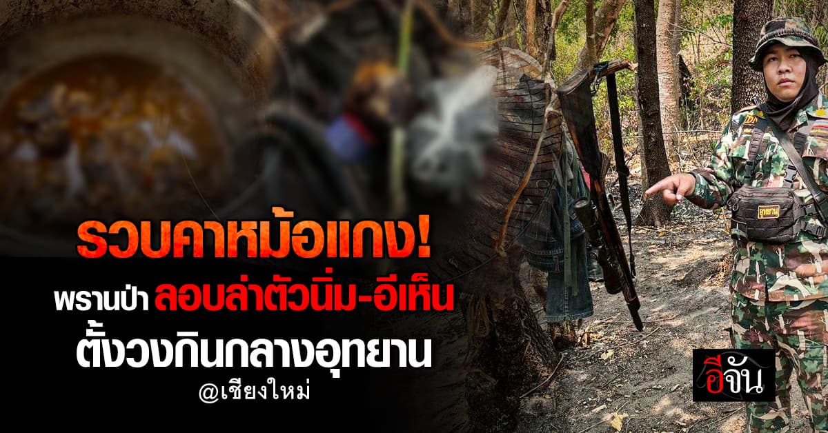 รวบคาหม้อแกง! พรานป่าอุกอาจ ลอบล่าสัตว์ป่า ตั้งวงแกงกลางอุทยานแห่งชาติออบหลวง