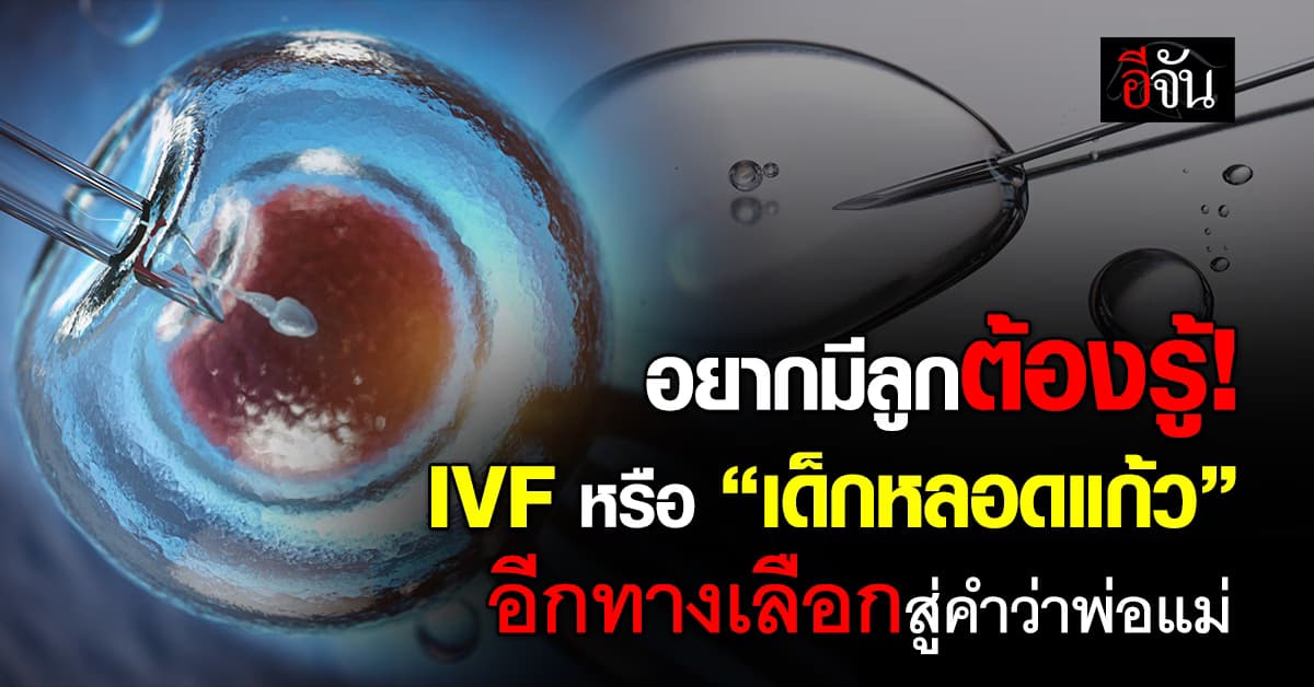 อยากมีลูกต้องรู้! IVF หรือ “เด็กหลอดแก้ว” อีกทางเลือกสู่คำว่าพ่อแม่ 