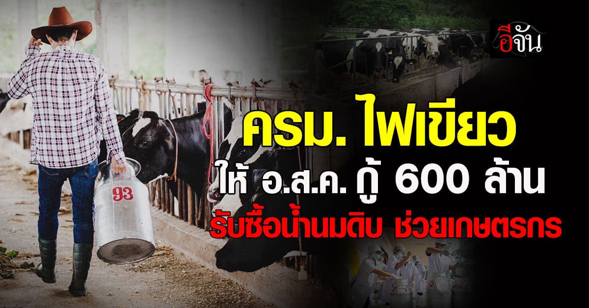 ครม. ไฟเขียว อ.ส.ค. กู้เงิน 600 ล้านบาท รับซื้อน้ำนมดิบ ช่วยเกษตรกรเลี้ยงโคนม