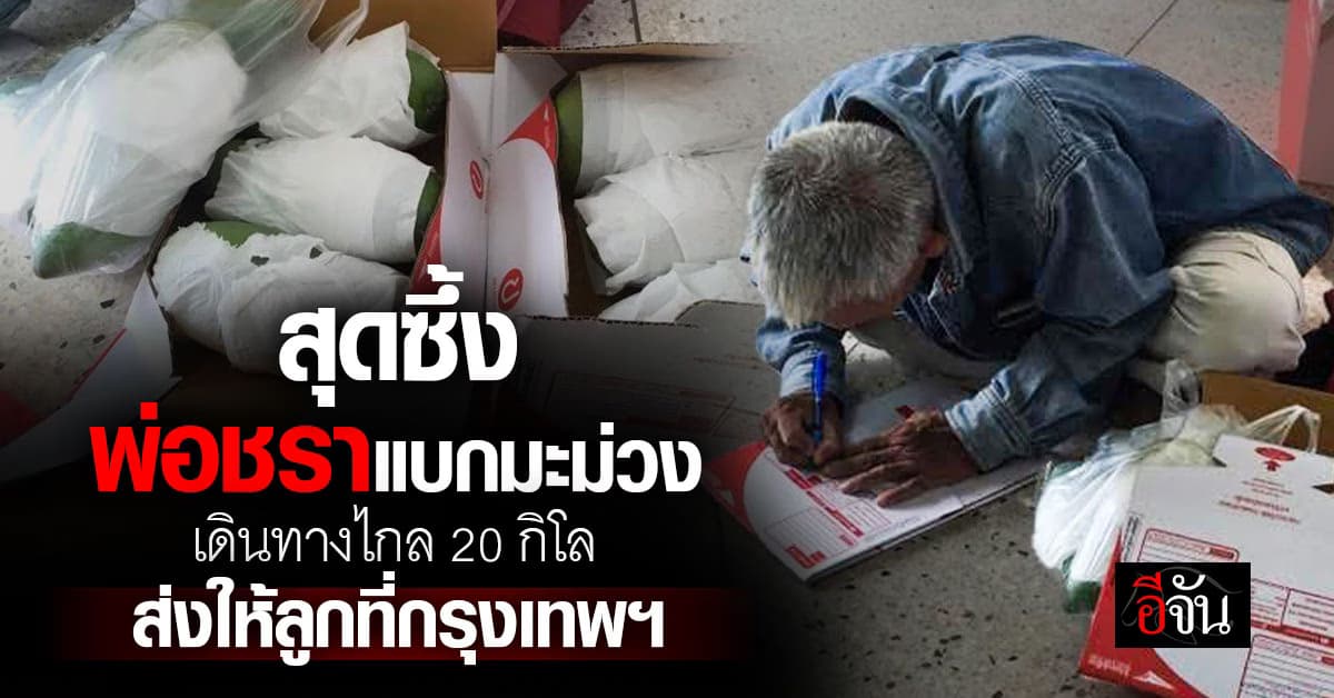 ซึ้งน้ำตาไหล ! พ่อเเบกมะม่วง เดินทาง 20 กิโล มาส่งให้ลูกอยู่ กทม. ได้กิน