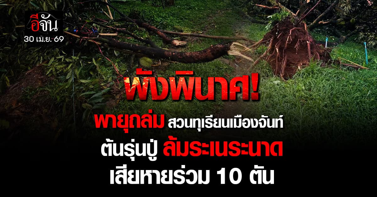 พายุถล่ม สวนทุเรียนเมืองจันท์ เสียหายยับเยิน รวมกว่า 100 ตัน