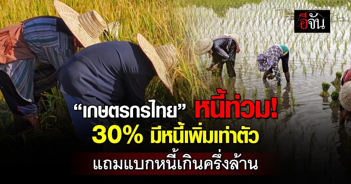 เกษตรกรไทยหนี้ท่วม พบ 30% มีหนี้เพิ่มเท่าตัว แถมแบกหนี้เกินครึ่งล้าน