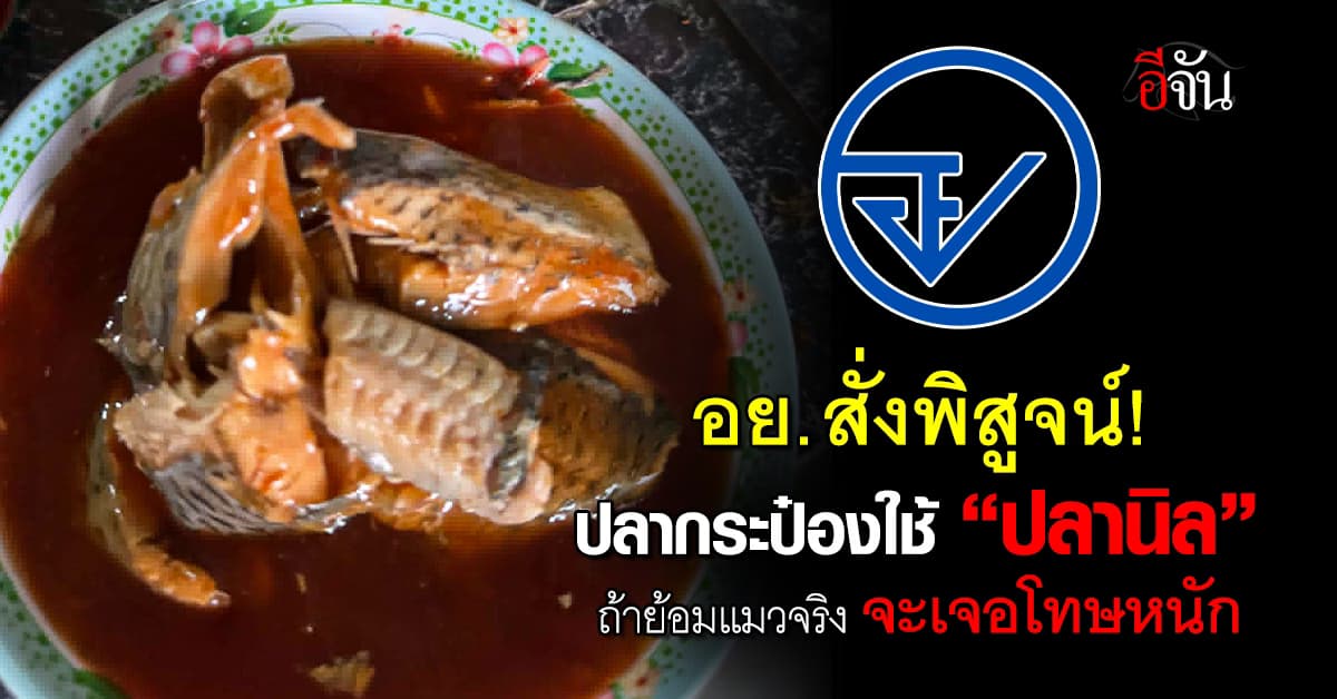 อย. สั่งพิสูจน์! กรณีปลากระป๋องต้องสงสัยใช้ “ปลานิล” แทนแมคเคอเรล 