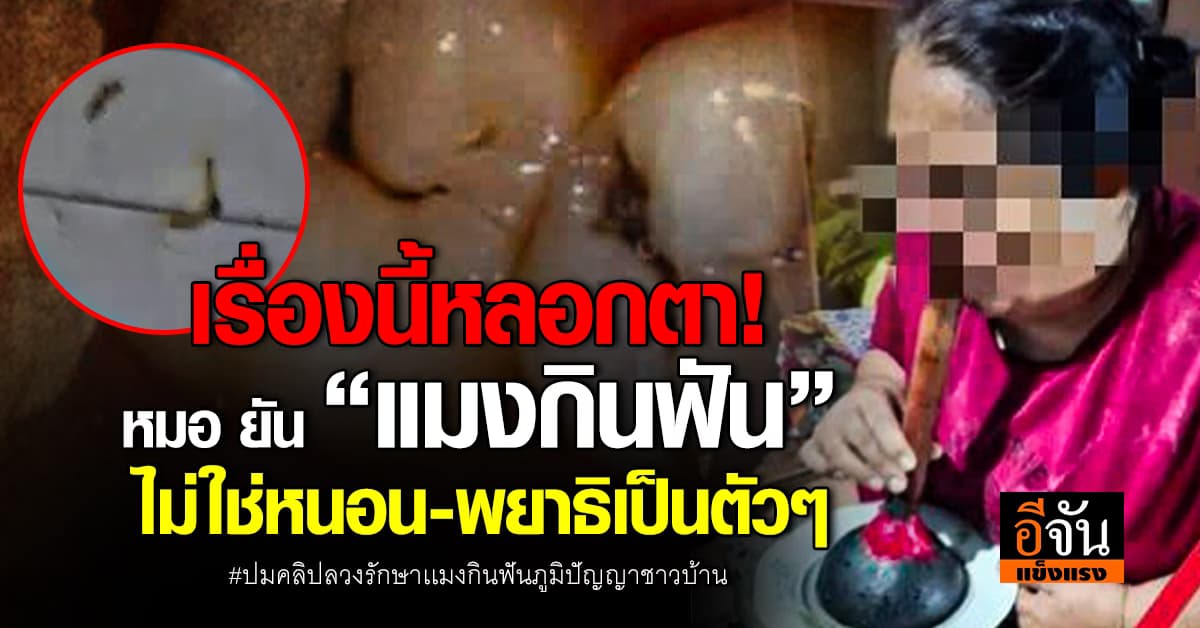 ไม่ใช่เรื่องจริง! ปมคลิปรักษาเเมงกินฟันเเบบภูมิปัญญาชาวบ้าน 