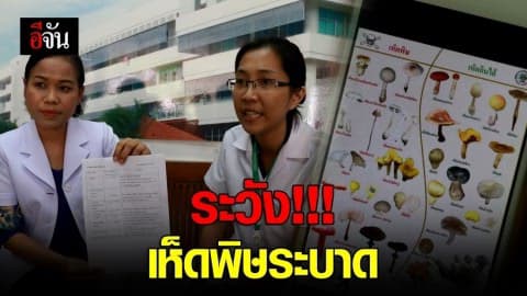 เเพทย์เตือน ระวัง!!! เห็ดพิษระบาด หน้าฝน